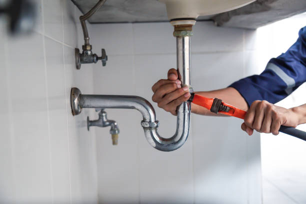Best Commercial Plumbing Services  in White Pine, TN