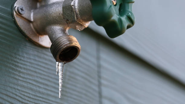 Best Local Plumber Services  in White Pine, TN