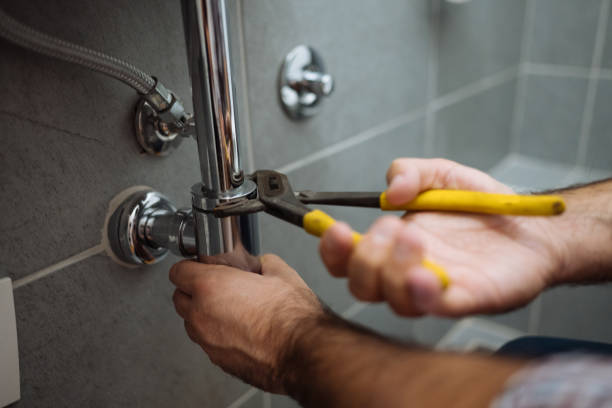 Best Clogged Drain Plumber  in White Pine, TN